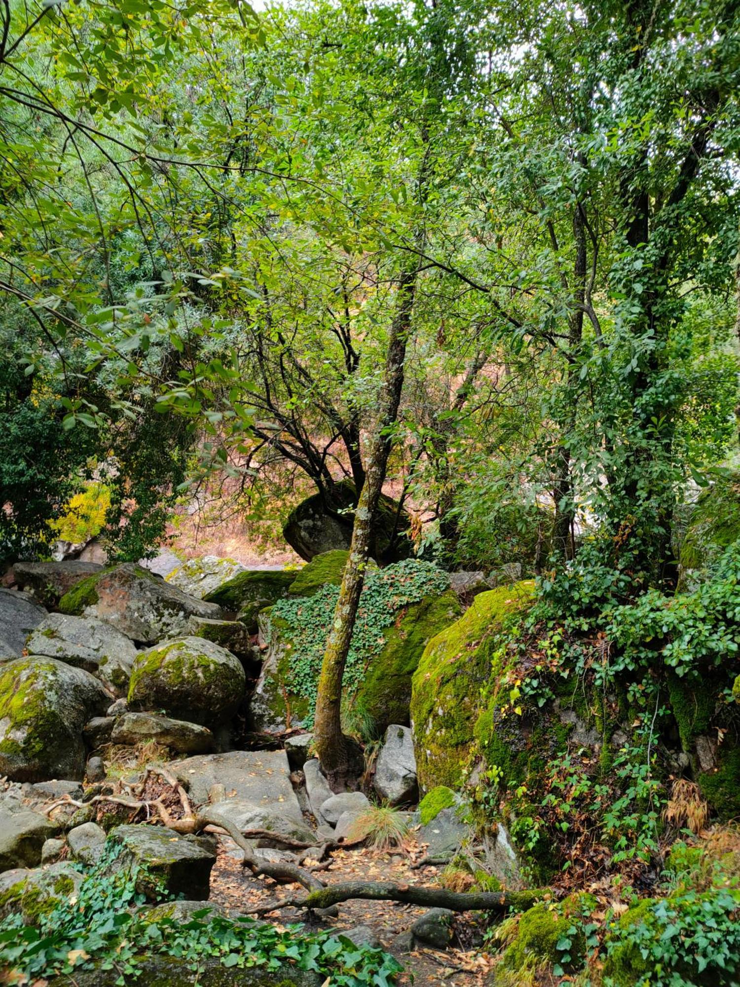 Acogedor Apartamento En El Valle Del Jerte 1 Piornal Exteriér fotografie