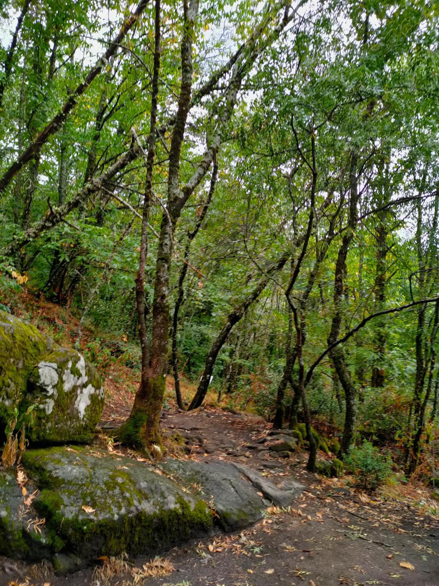 Acogedor Apartamento En El Valle Del Jerte 1 Piornal Exteriér fotografie